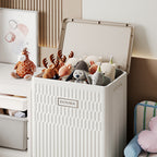 Storage Box Foldable Type